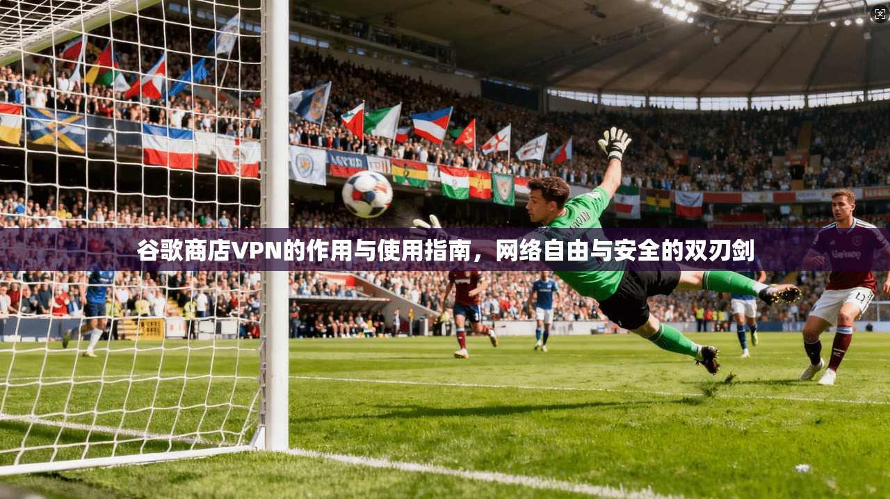 谷歌商店VPN的作用与使用指南，网络自由与安全的双刃剑