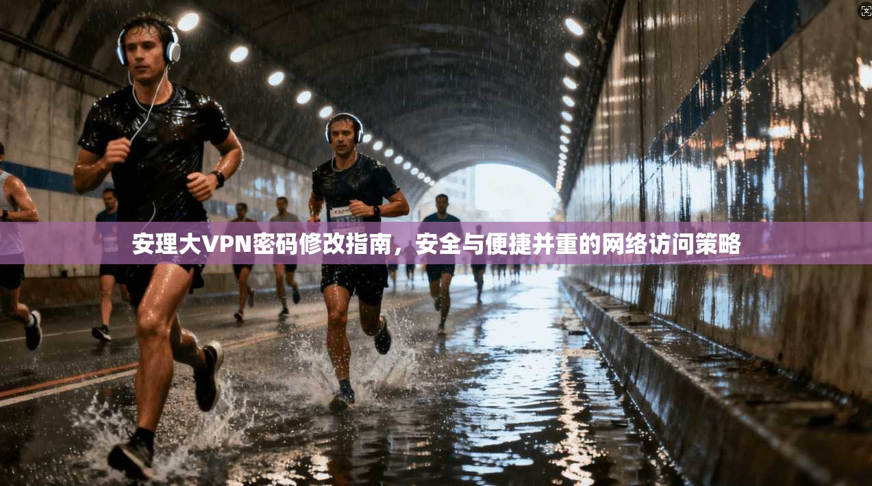 安理大VPN密码修改指南，安全与便捷并重的网络访问策略