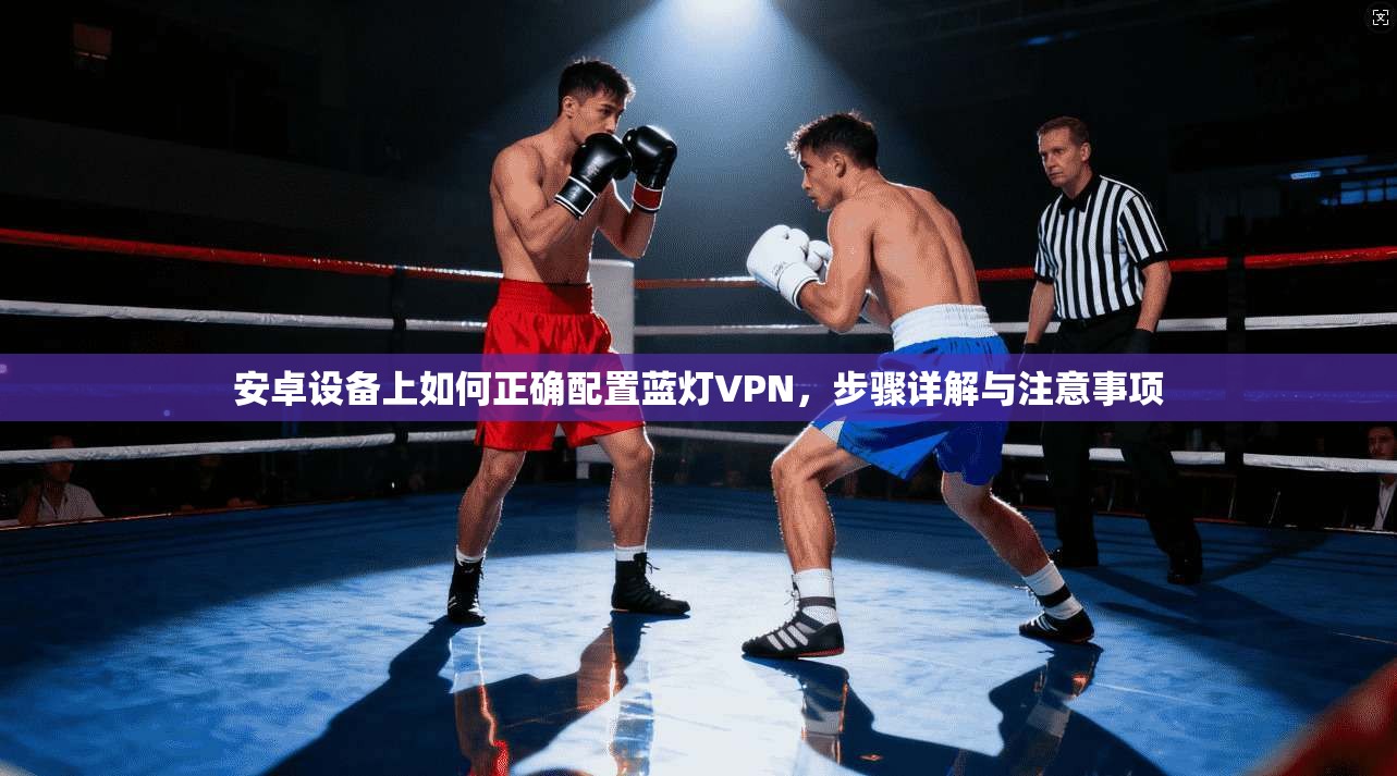 安卓设备上如何正确配置蓝灯VPN，步骤详解与注意事项