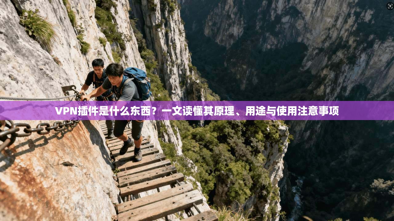 VPN插件是什么东西？一文读懂其原理、用途与使用注意事项