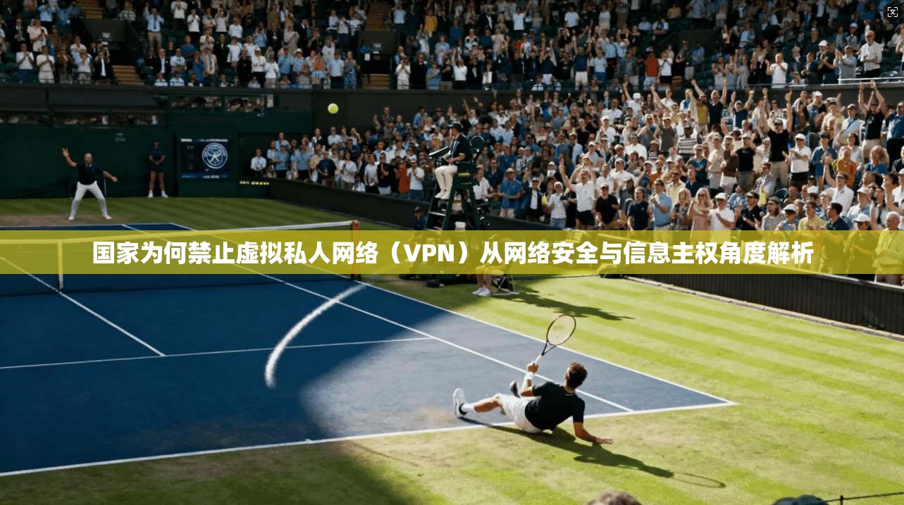国家为何禁止虚拟私人网络(VPN)从网络安全与信息主权角度解析 国家为何禁止虚拟私人网络(VPN)从网络安全与信息主权角度解析
