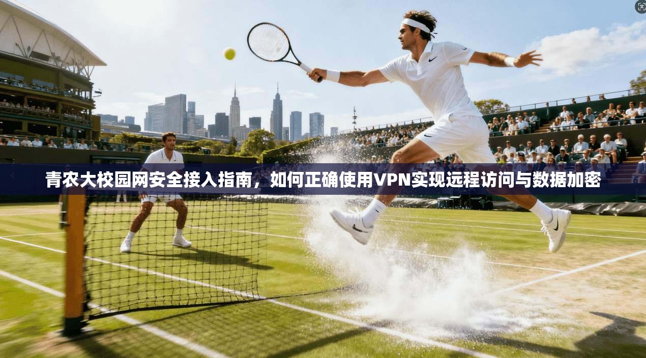 青农大校园网安全接入指南，如何正确使用VPN实现远程访问与数据加密