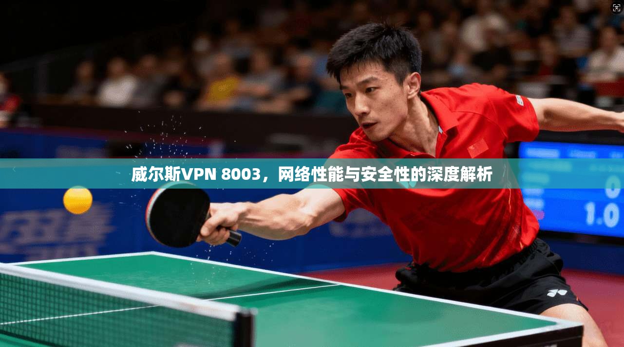 威尔斯VPN 8003，网络性能与安全性的深度解析