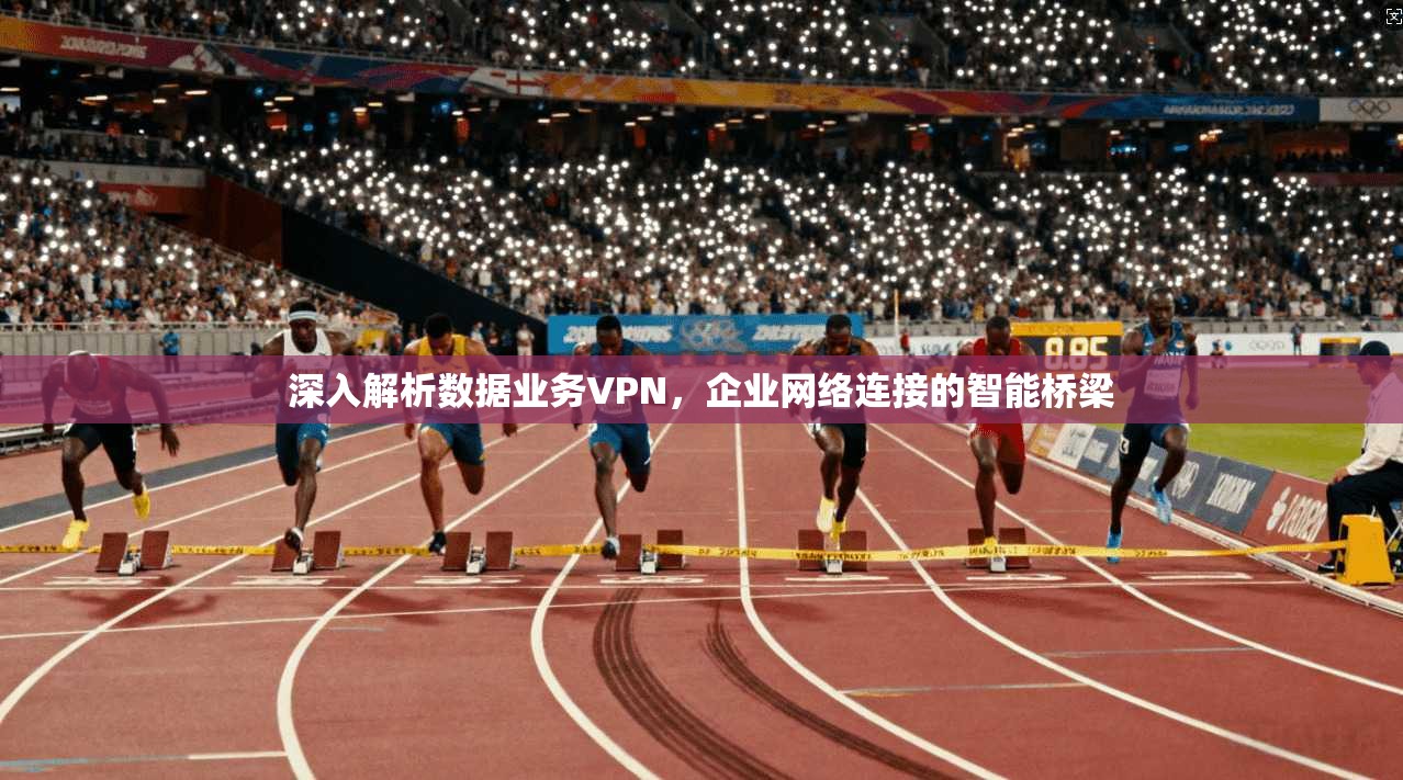 深入解析数据业务VPN，企业网络连接的智能桥梁