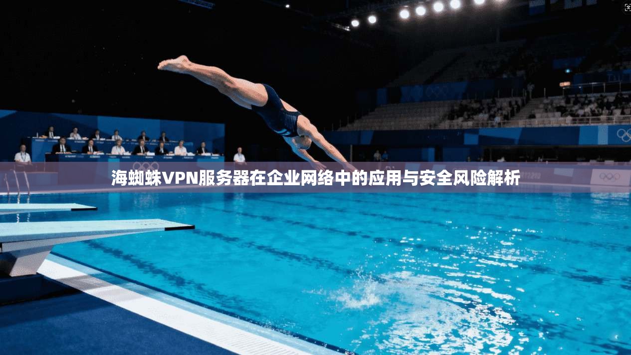 海蜘蛛VPN服务器在企业网络中的应用与安全风险解析