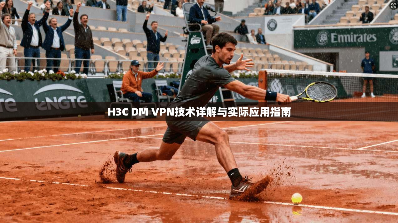H3C DM VPN技术详解与实际应用指南