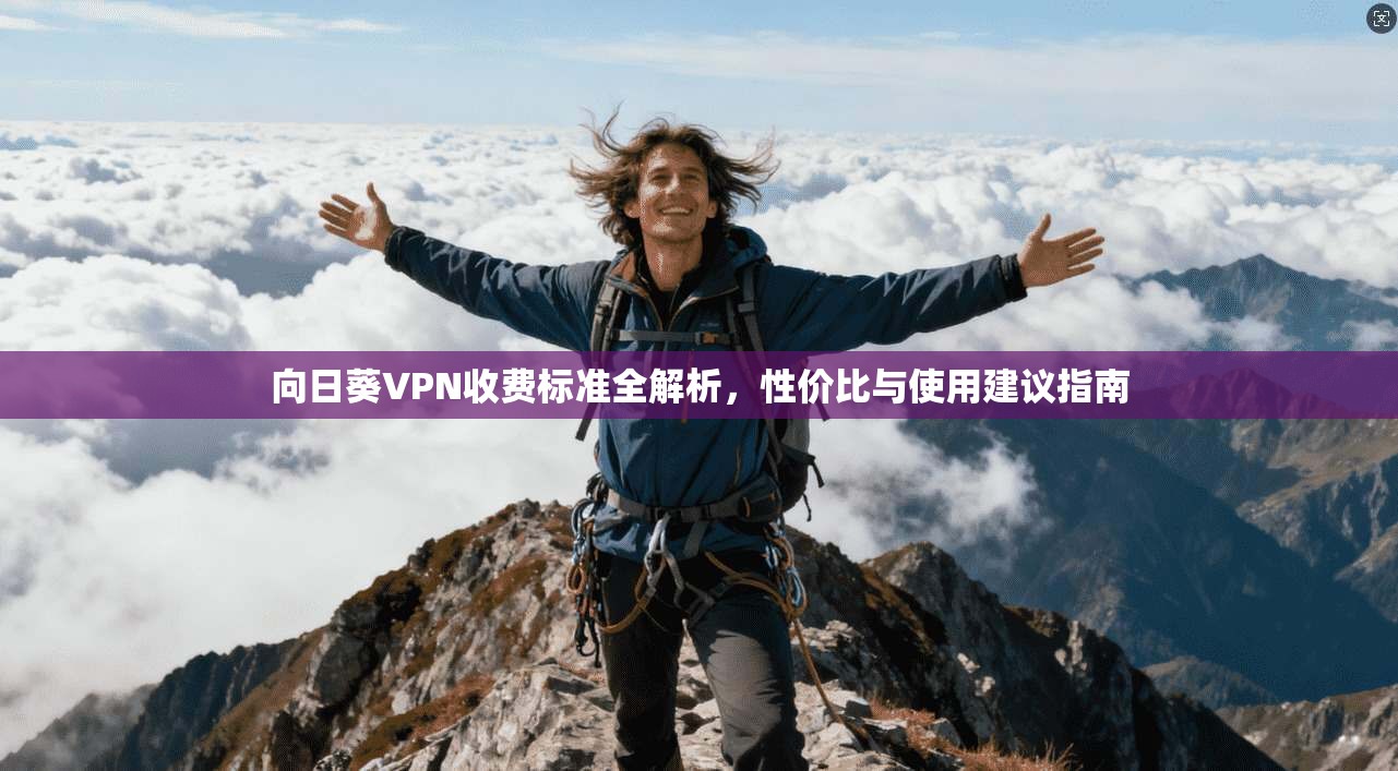 向日葵VPN收费标准全解析，性价比与使用建议指南