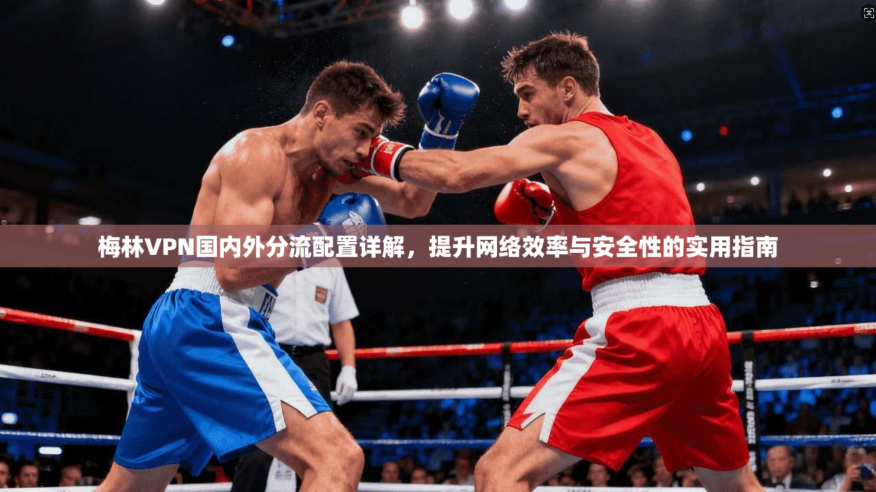 梅林VPN国内外分流配置详解，提升网络效率与安全性的实用指南