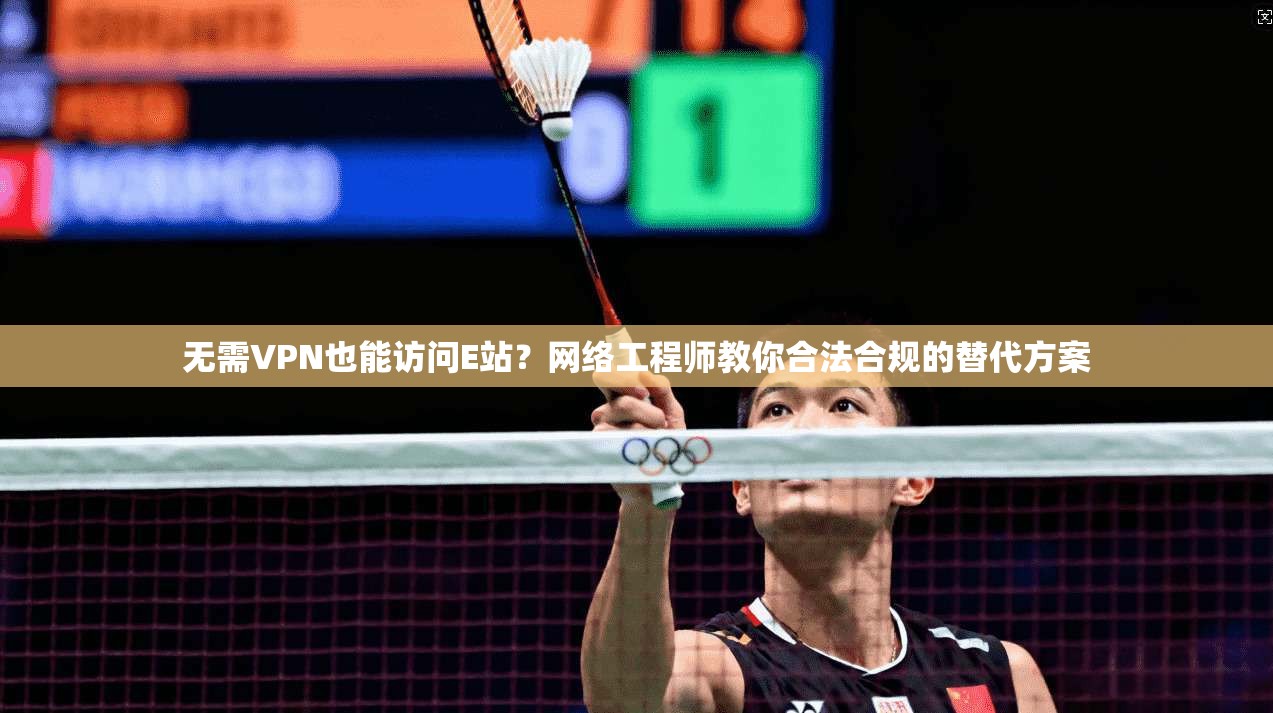 无需VPN也能访问E站？网络工程师教你合法合规的替代方案