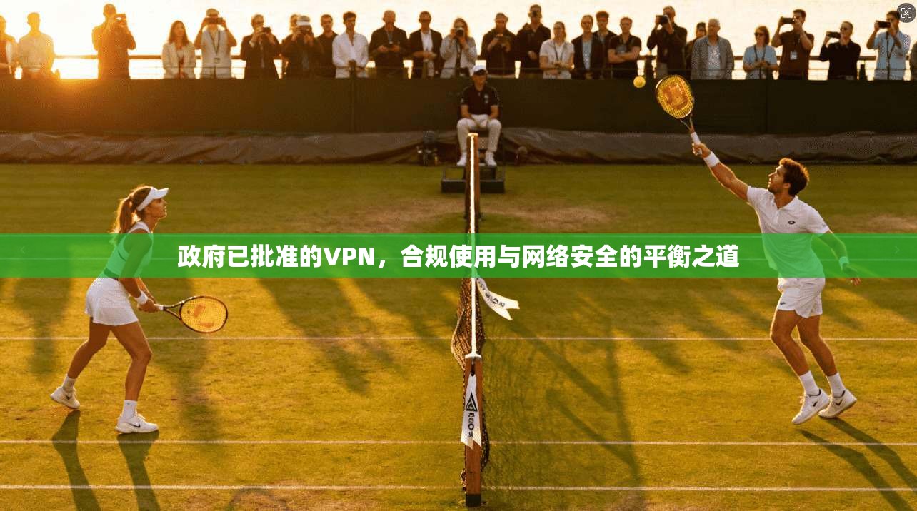 政府已批准的VPN,合规使用与网络安全的平衡之道 政府已批准的VPN,合规使用与网络安全的平衡之道