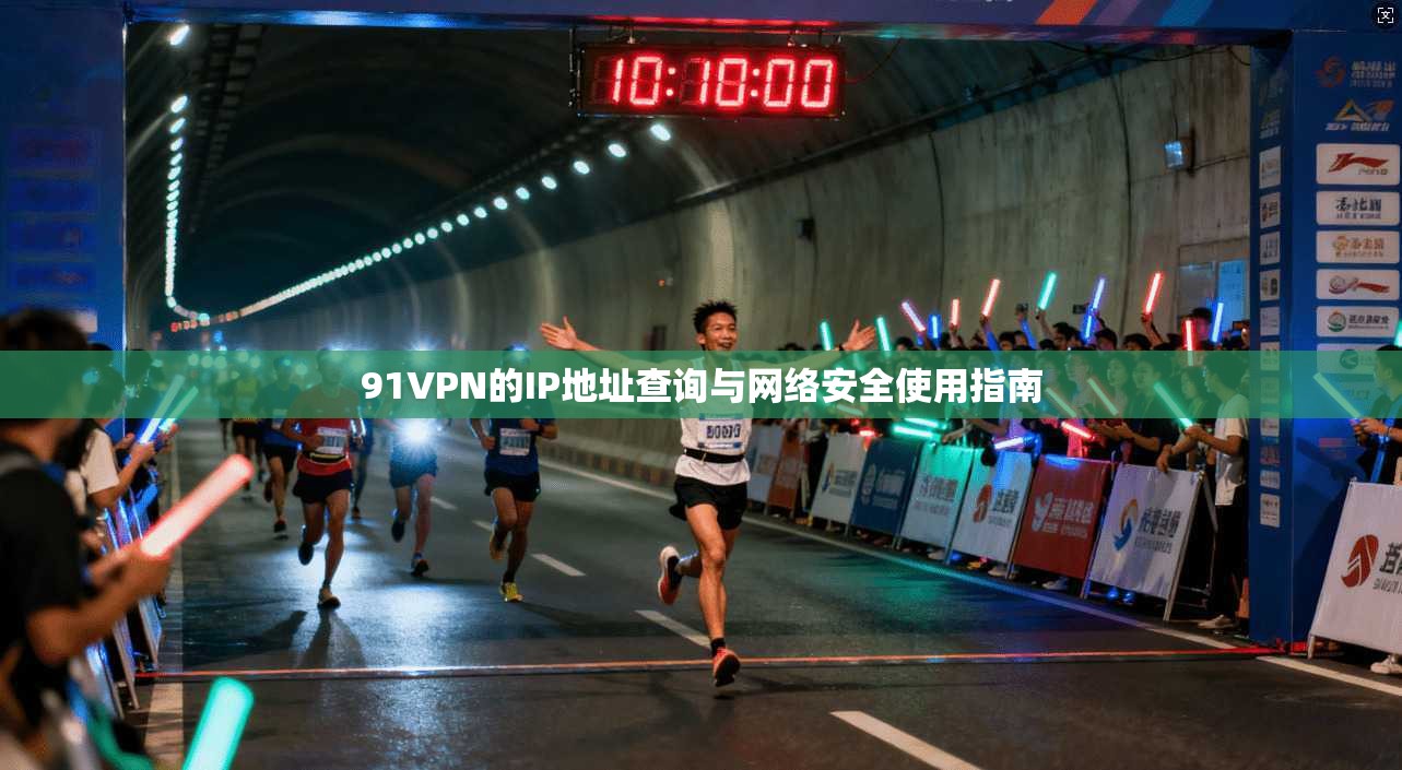 91VPN的IP地址查询与网络安全使用指南