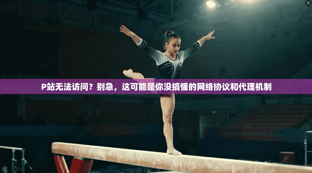 P站无法访问？别急，这可能是你没搞懂的网络协议和代理机制