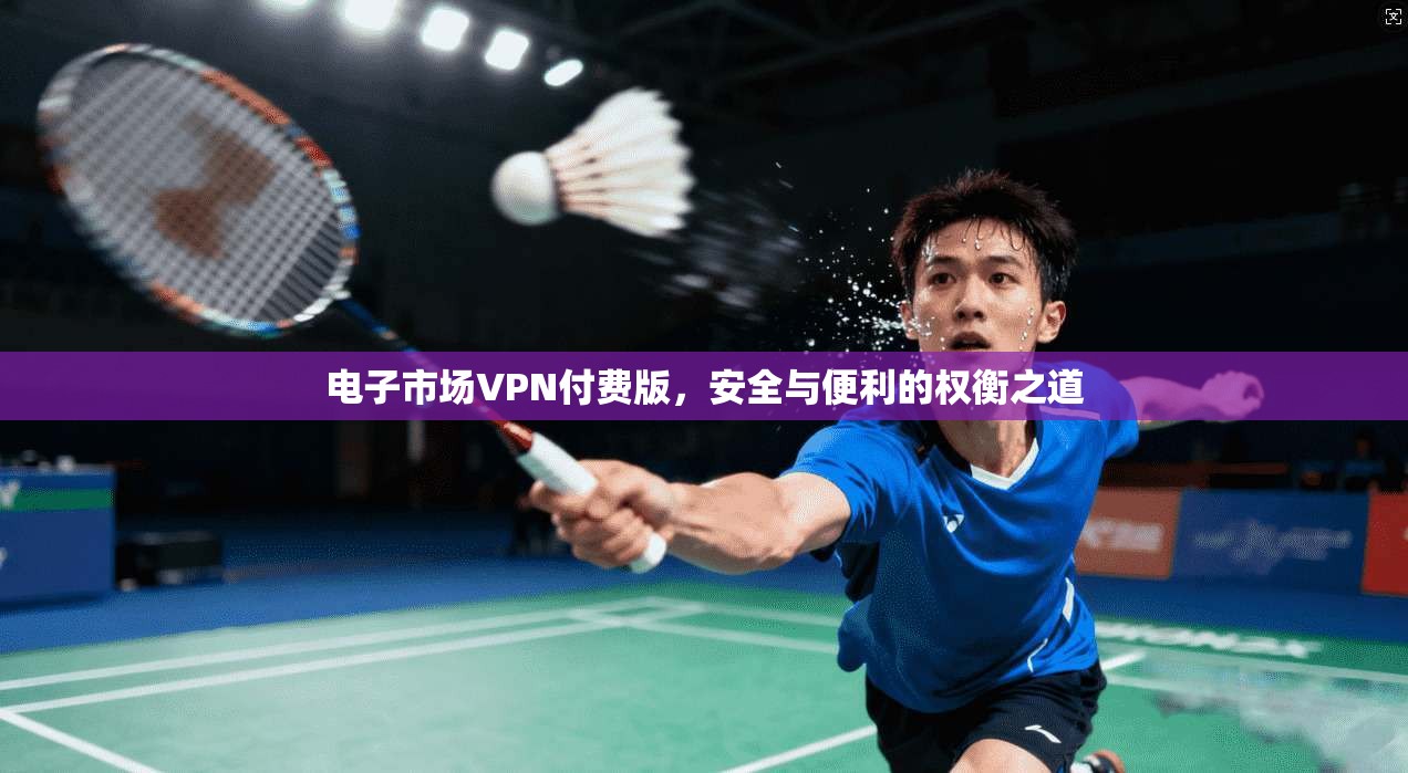 电子市场VPN付费版，安全与便利的权衡之道
