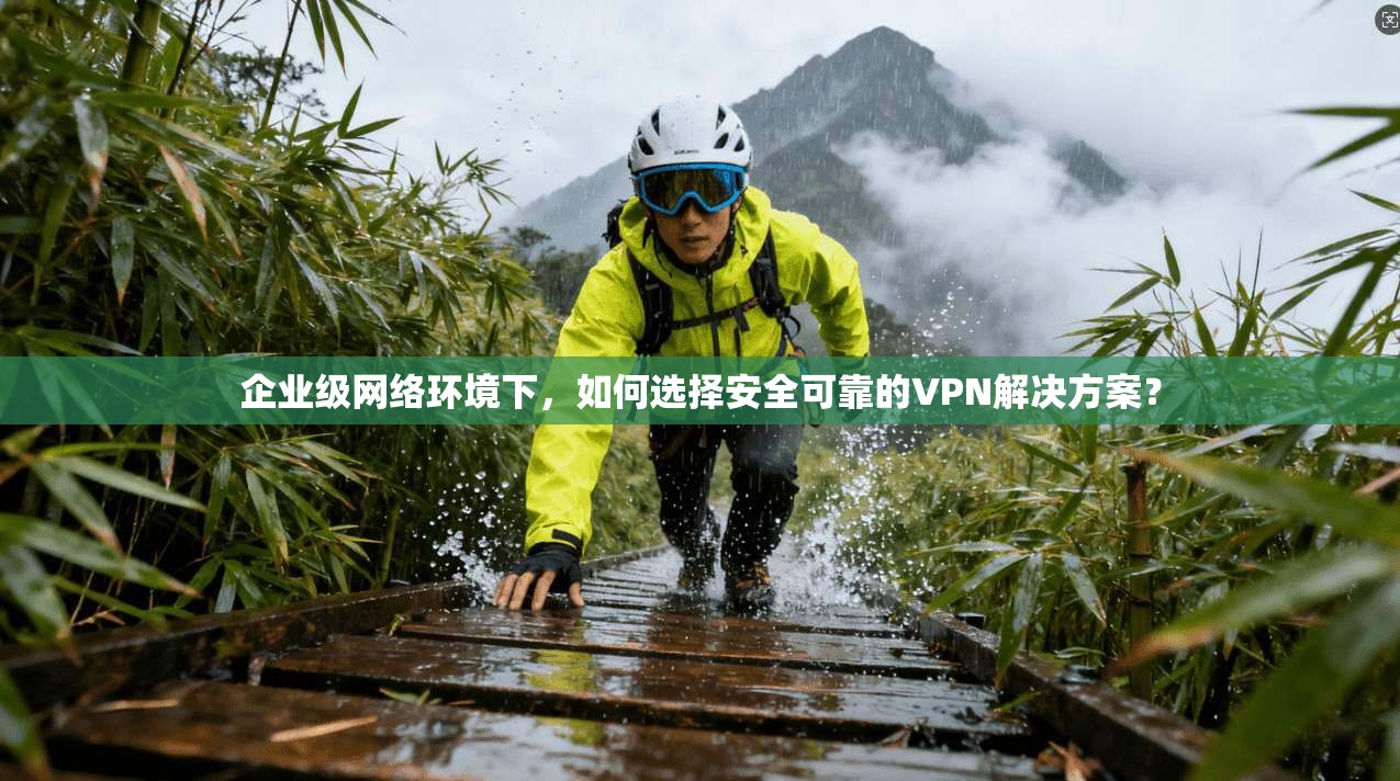 企业级网络环境下，如何选择安全可靠的VPN解决方案？