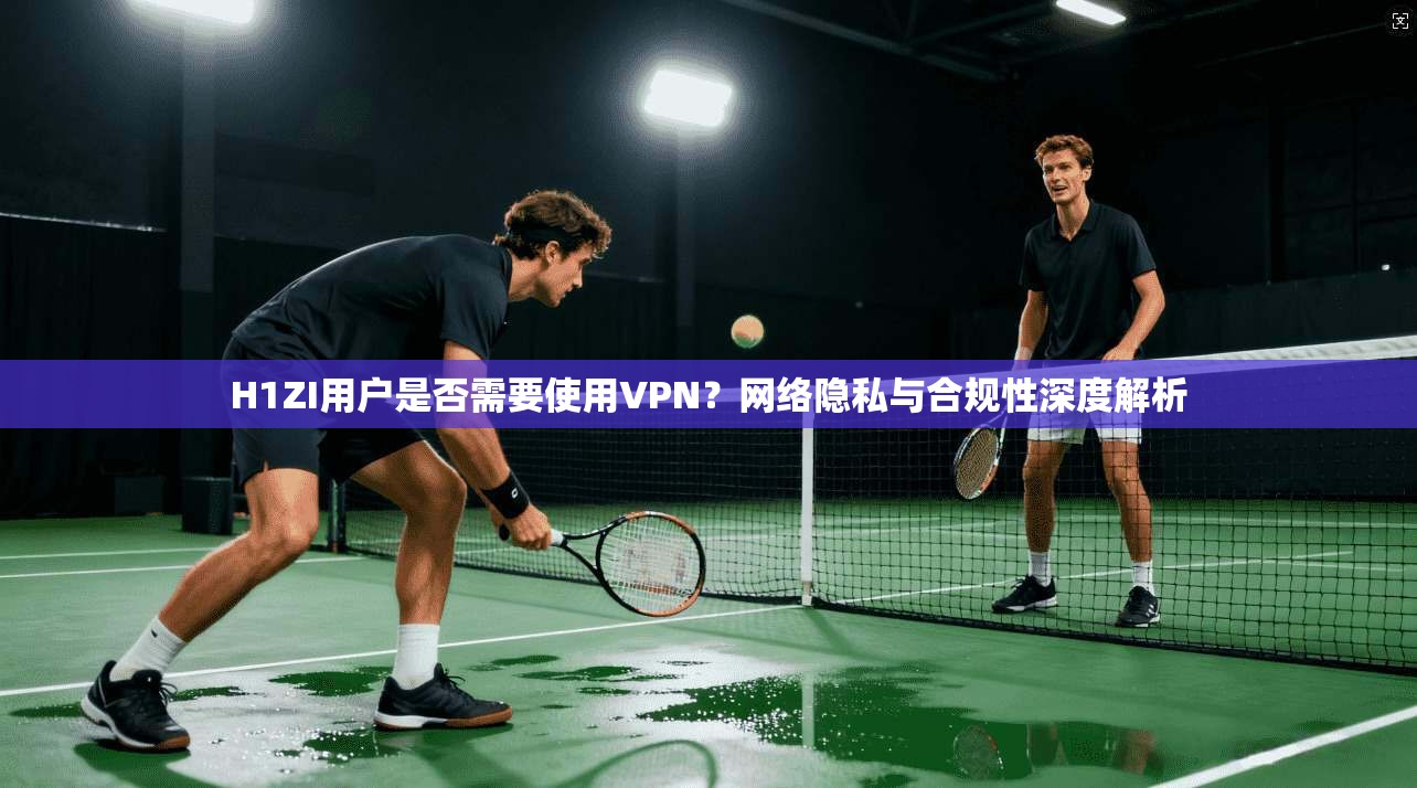 H1ZI用户是否需要使用VPN？网络隐私与合规性深度解析
