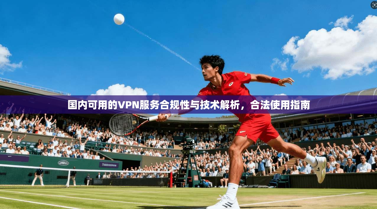 国内可用的VPN服务合规性与技术解析，合法使用指南
