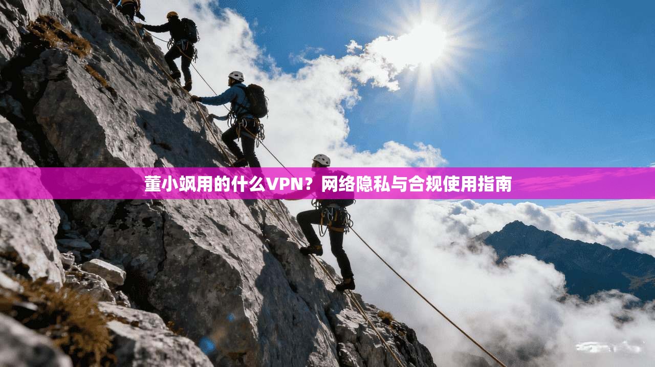 董小飒用的什么VPN?网络隐私与合规使用指南 董小飒用的什么VPN?网络隐私与合规使用指南