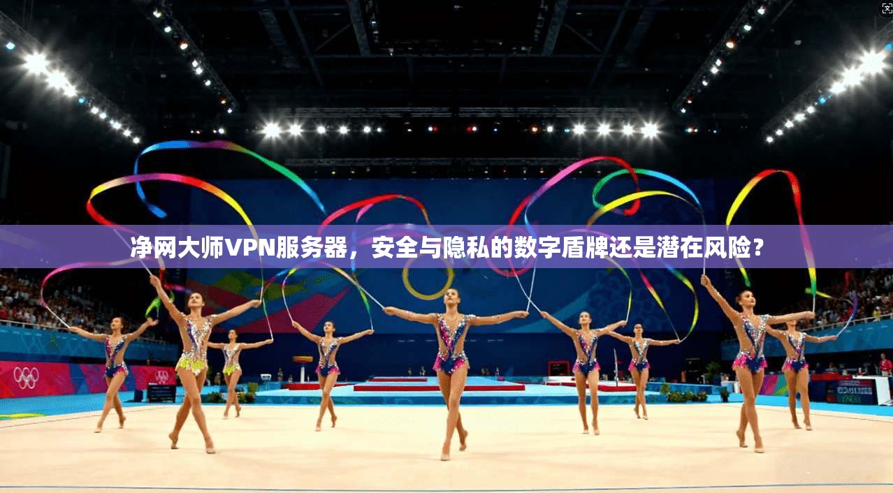 净网大师VPN服务器，安全与隐私的数字盾牌还是潜在风险？