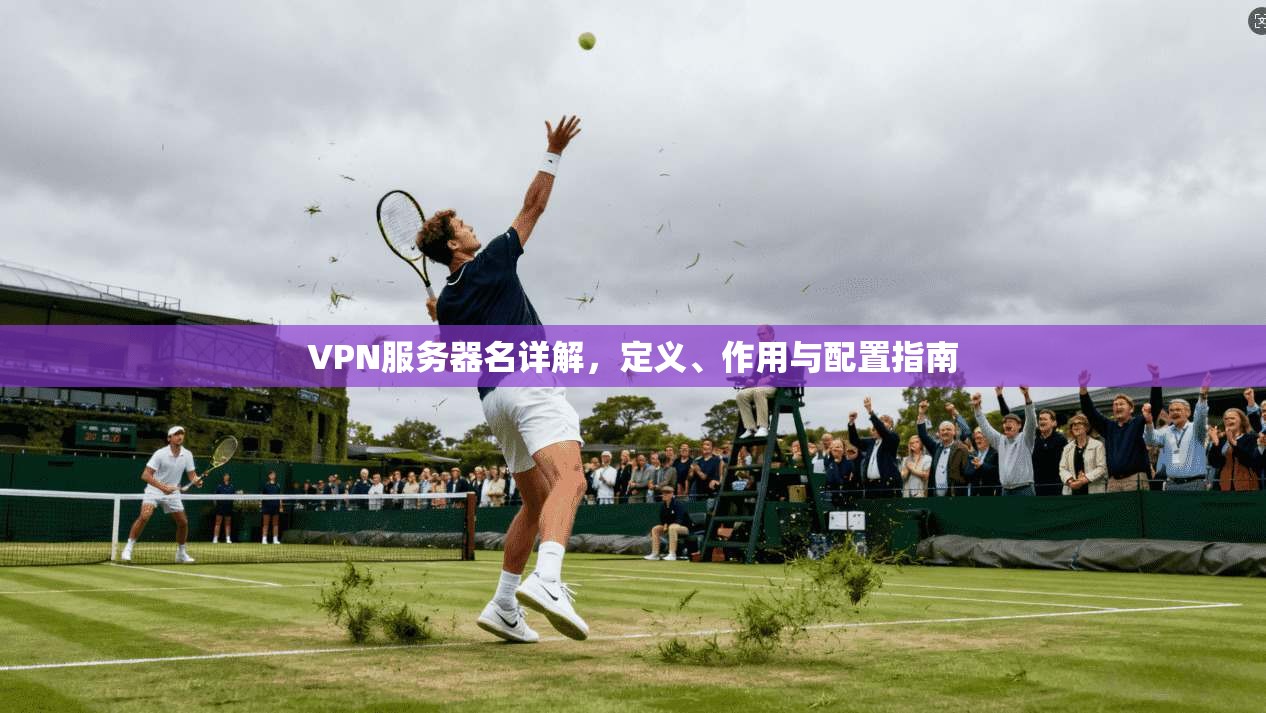 VPN服务器名详解，定义、作用与配置指南