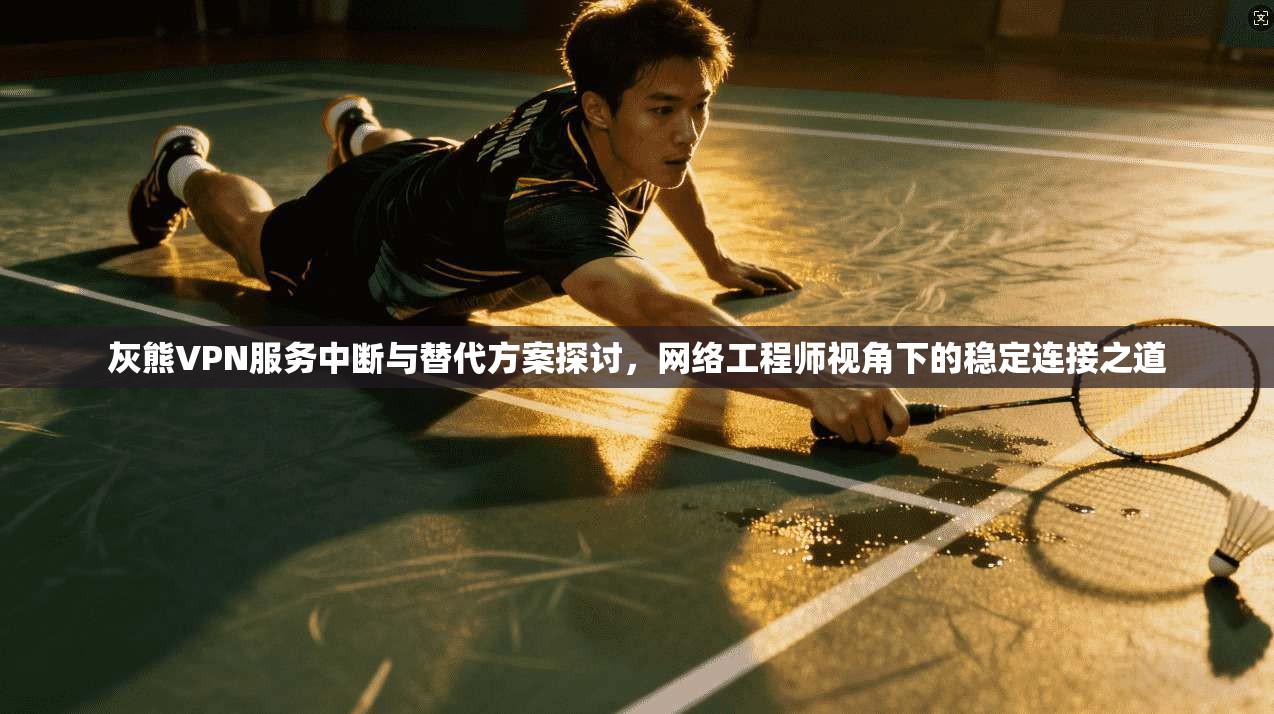 灰熊VPN服务中断与替代方案探讨,网络工程师视角下的稳定连接之道 灰熊VPN服务中断与替代方案探讨,网络工程师视角下的稳定连接之道