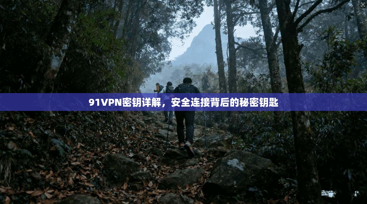 91VPN密钥详解,安全连接背后的秘密钥匙 91VPN密钥详解,安全连接背后的秘密钥匙