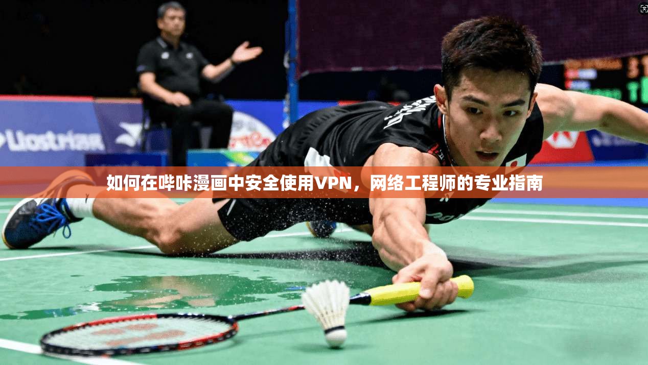 如何在哔咔漫画中安全使用VPN，网络工程师的专业指南