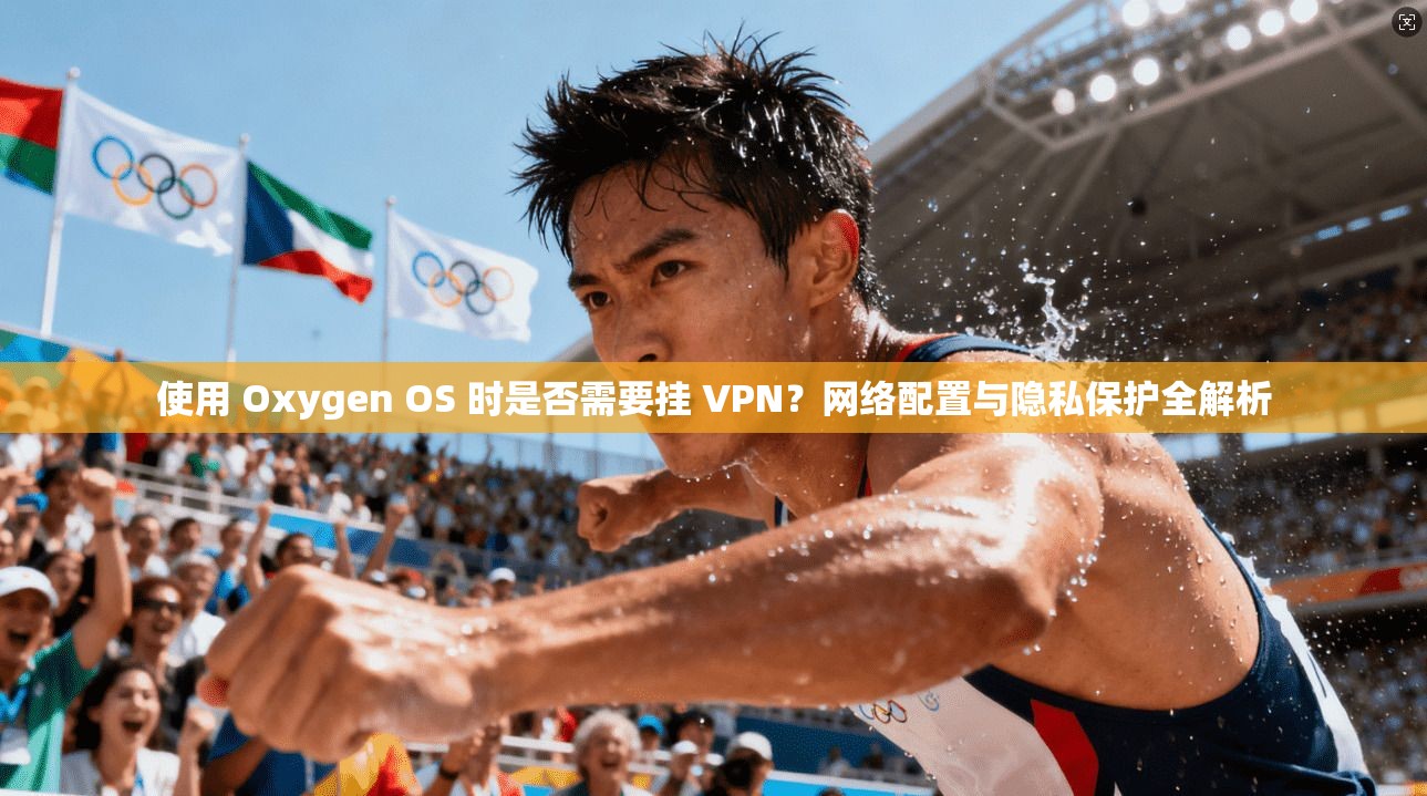 使用 Oxygen OS 时是否需要挂 VPN？网络配置与隐私保护全解析
