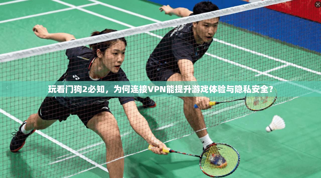 玩看门狗2必知，为何连接VPN能提升游戏体验与隐私安全？