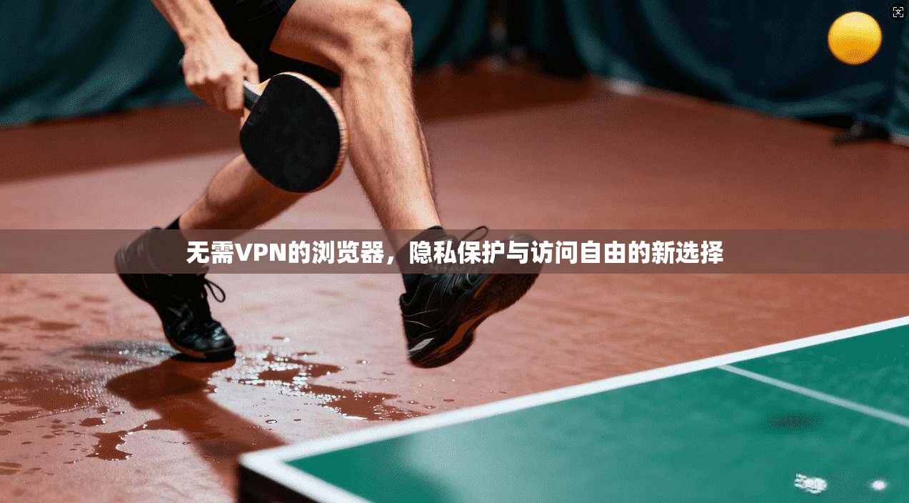无需VPN的浏览器，隐私保护与访问自由的新选择