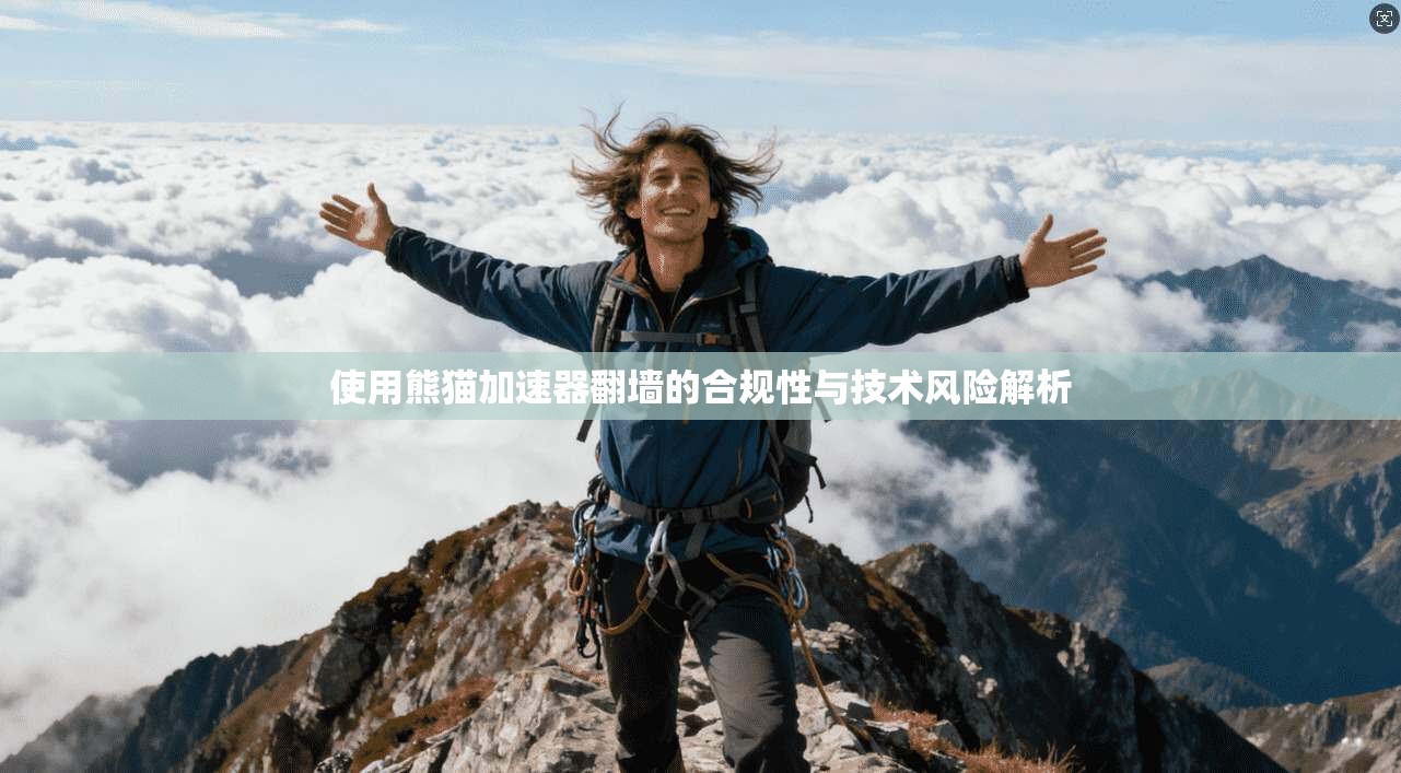 使用熊猫加速器翻墙的合规性与技术风险解析 使用熊猫加速器翻墙的合规性与技术风险解析