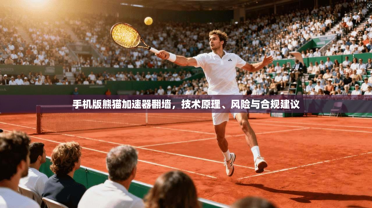手机版熊猫加速器翻墙，技术原理、风险与合规建议