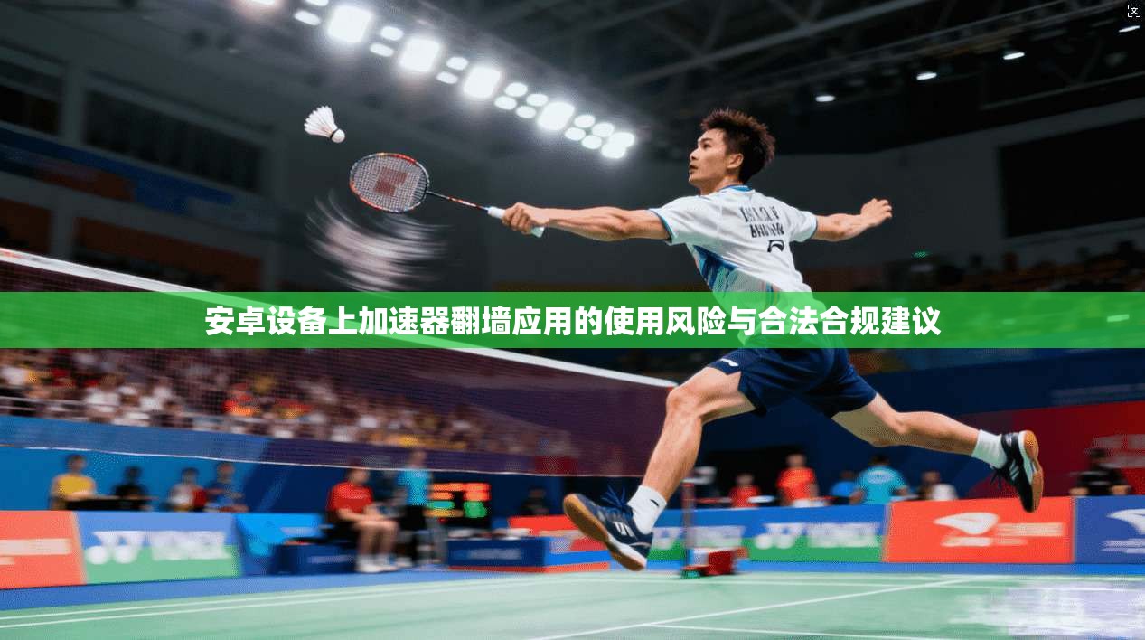 安卓设备上加速器翻墙应用的使用风险与合法合规建议
