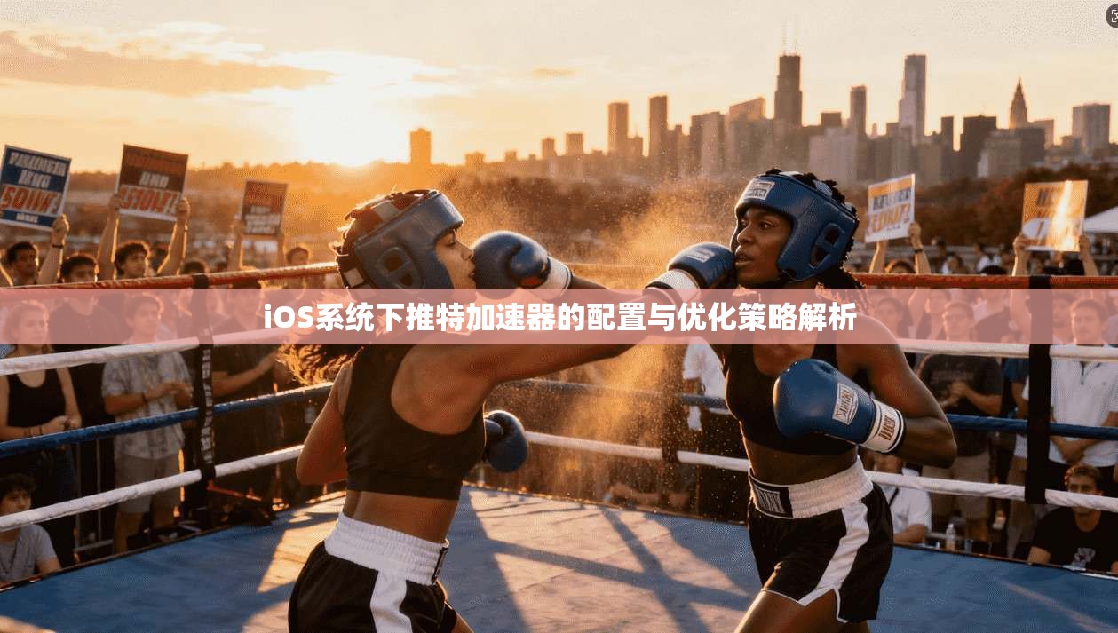 iOS系统下推特加速器的配置与优化策略解析