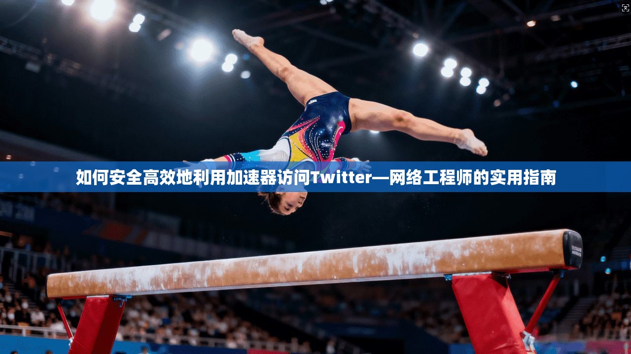 如何安全高效地利用加速器访问Twitter—网络工程师的实用指南