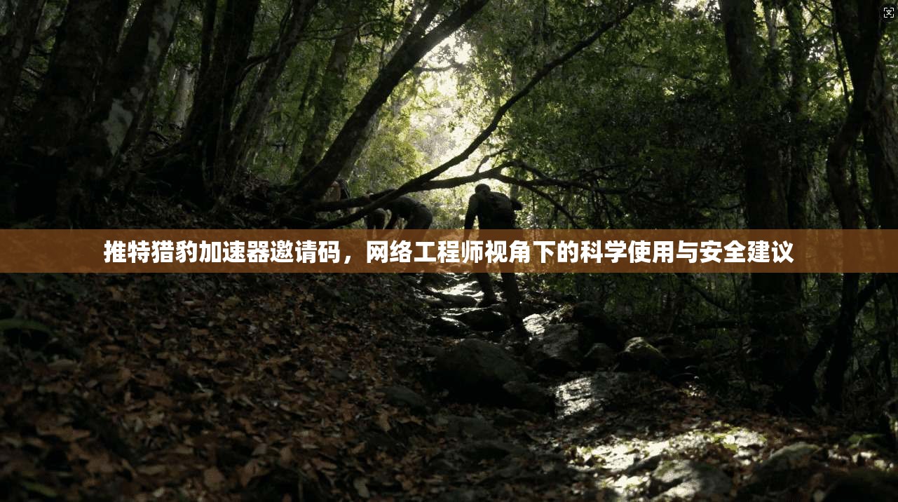 推特猎豹加速器邀请码，网络工程师视角下的科学使用与安全建议