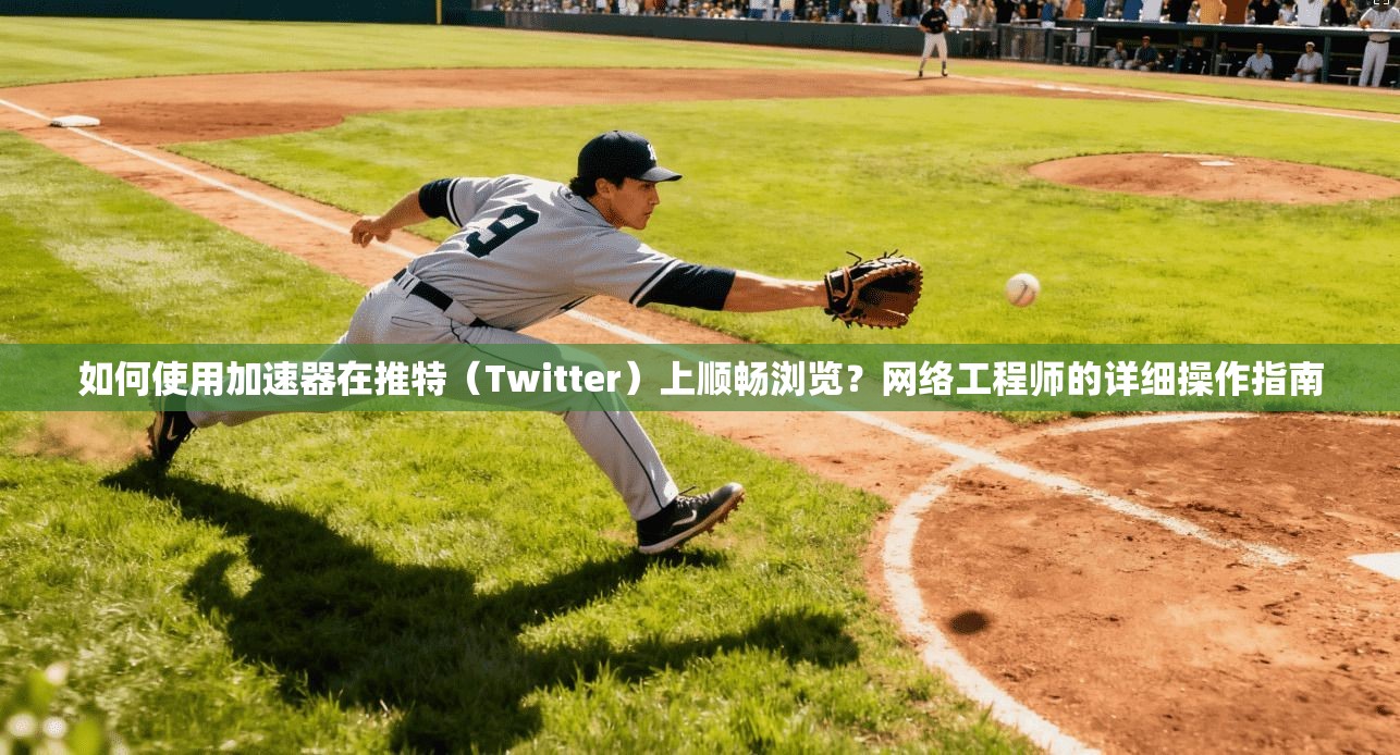 如何使用加速器在推特（Twitter）上顺畅浏览？网络工程师的详细操作指南