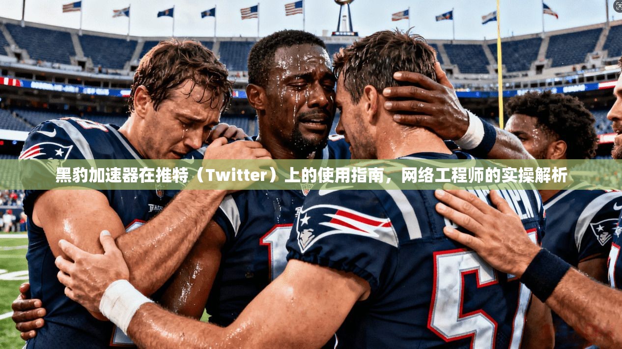 黑豹加速器在推特（Twitter）上的使用指南，网络工程师的实操解析