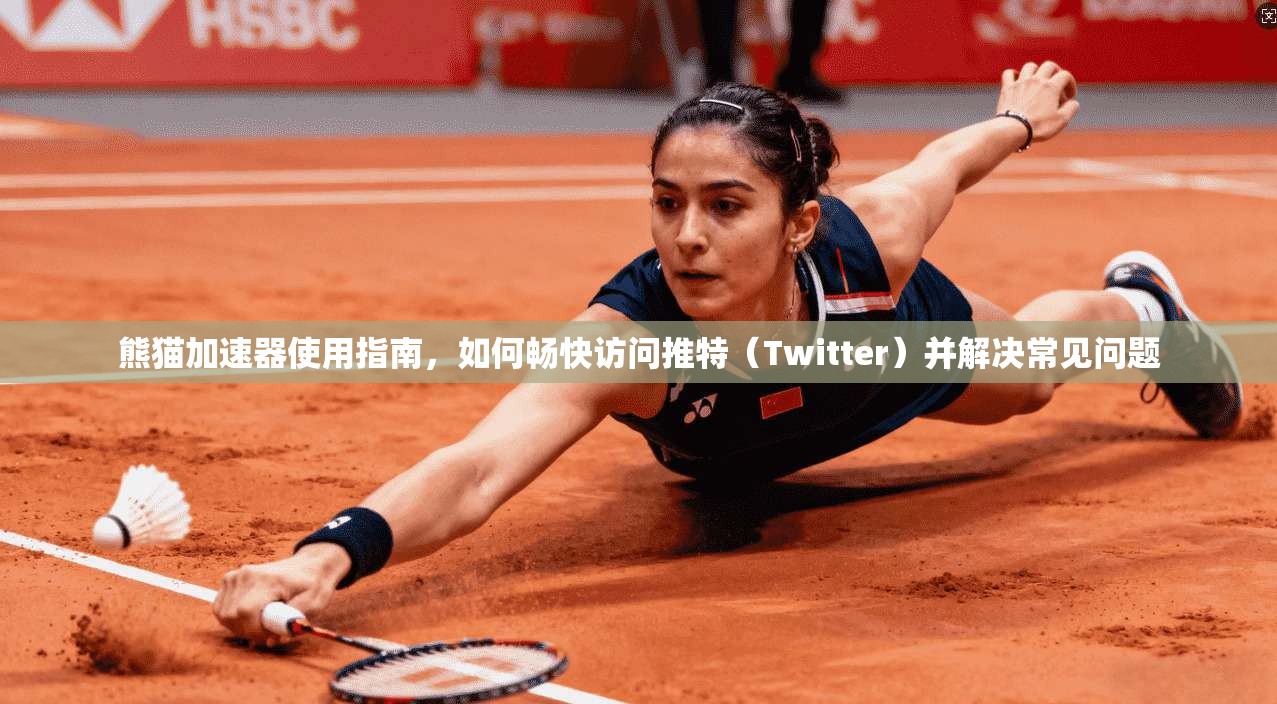 熊猫加速器使用指南，如何畅快访问推特（Twitter）并解决常见问题