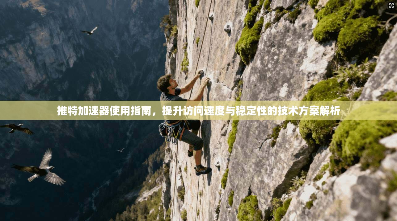 推特加速器使用指南，提升访问速度与稳定性的技术方案解析