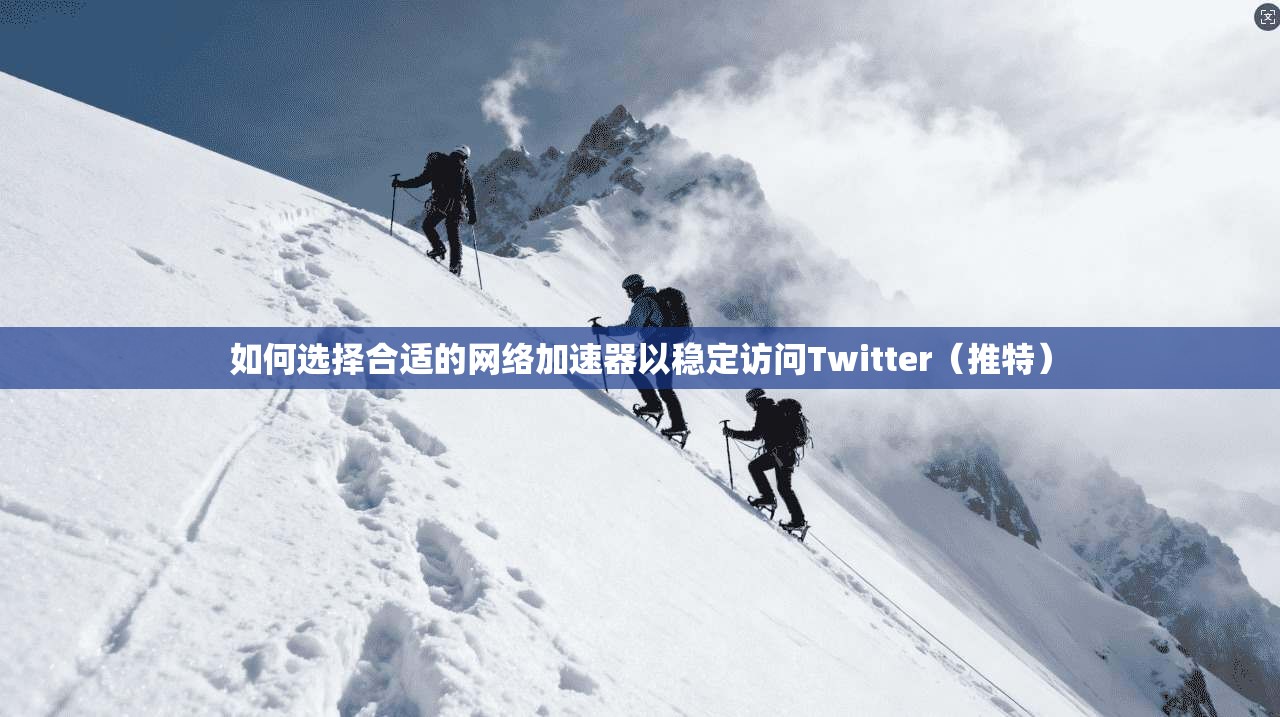 如何选择合适的网络加速器以稳定访问Twitter(推特) 如何选择合适的网络加速器以稳定访问Twitter(推特)